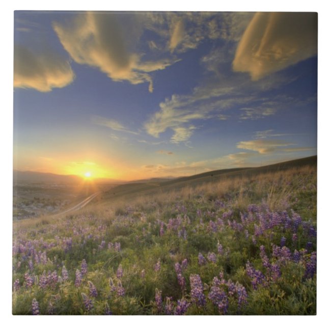 Sunset over the Bitterroot Mountains and vast Tile (Front)