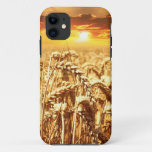 Sunset Over The Cornfield iPhone 11 Case
