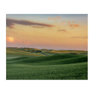 Sunset over Wheat Fields   Washington State Acrylic Print