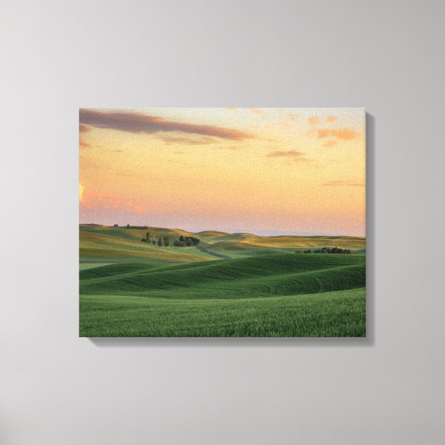 Sunset over Wheat Fields | Washington State Canvas Print (Front)