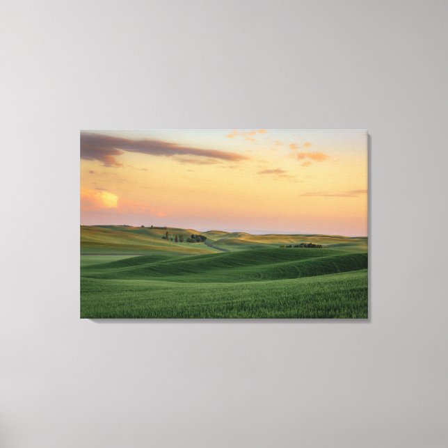 Sunset over Wheat Fields | Washington State Canvas Print (Front)