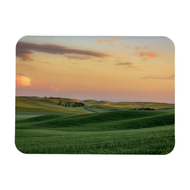 Sunset over Wheat Fields | Washington State Magnet (Horizontal)