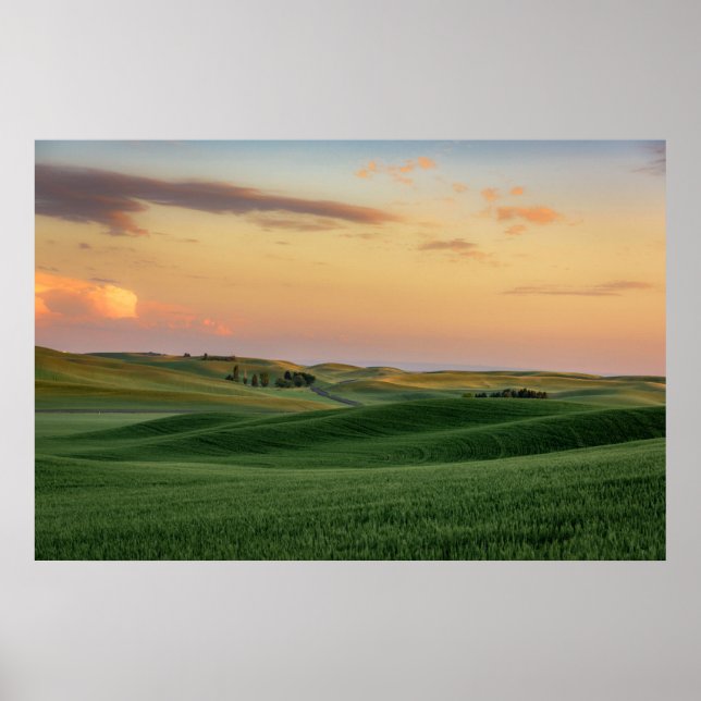 Sunset over Wheat Fields | Washington State Poster (Front)