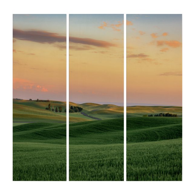Sunset over Wheat Fields | Washington State Triptych (Front)