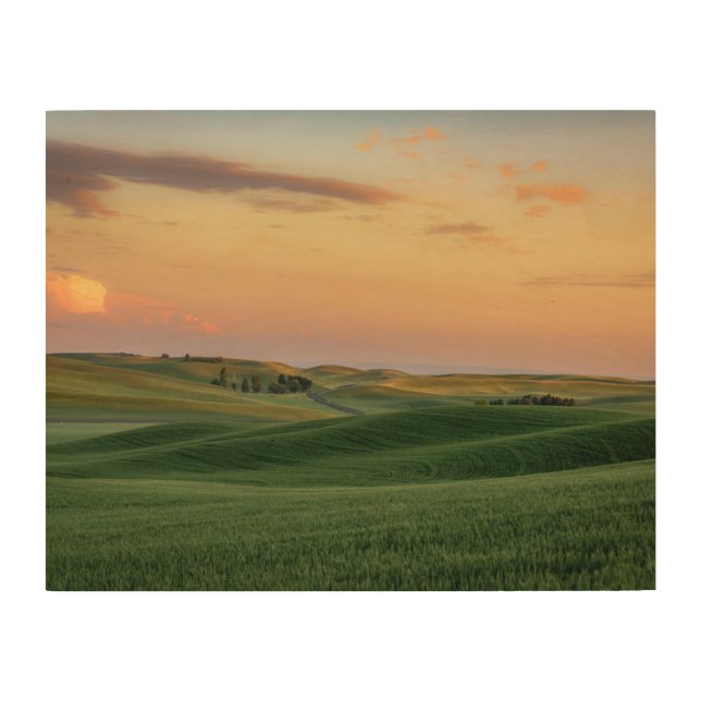 Sunset over Wheat Fields | Washington State Wood Wall Art (Front)