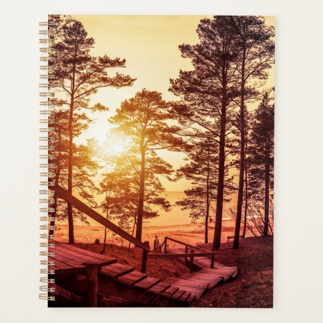 Sunset over wooden path in pine forest planner (Front)