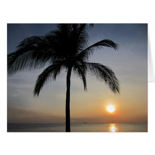 sunset palm big (Front Horizontal)