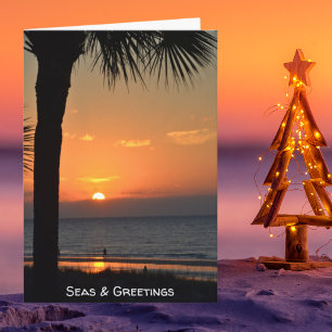 Sunset Palm Tree Silhouette Beach Scene Holiday