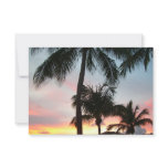 Sunset Palms Tropical Landscape Photography