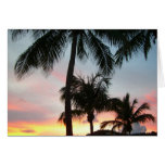 Sunset Palms Tropical Landscape Photography Cards