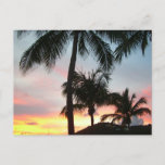 Sunset Palms Tropical Landscape Photography Postcard