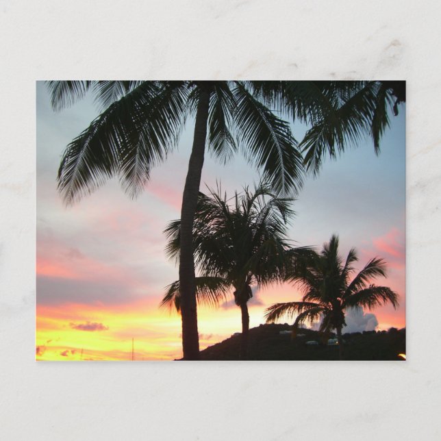 Sunset Palms Tropical Landscape Photography Postcard (Front)