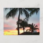 Sunset Palms Tropical Landscape Photography Postcard