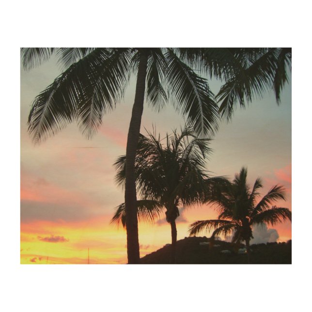 Sunset Palms Tropical Landscape Photography Wood Wall Art (Front)
