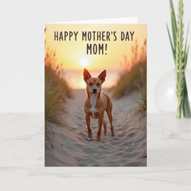 Sunset Path Mothers Day Card (Front)