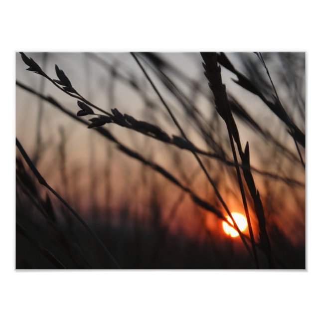 Sunset Photo  Kodak Professional Photo (Front)