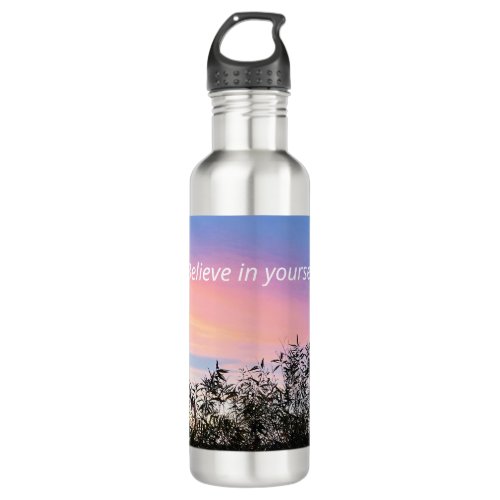Sunset Pink Blue  Stainless Steel Water Bottle