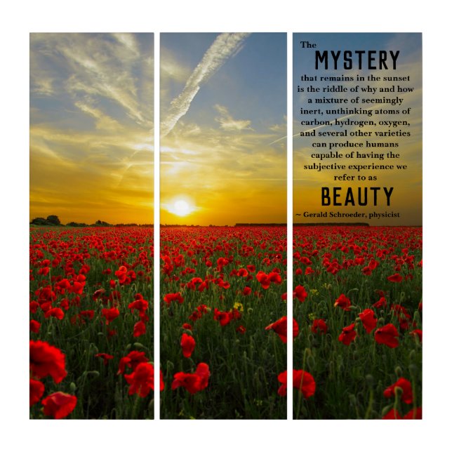 Sunset Poppy Field Beauty, Mystery, Science Triptych (Front)