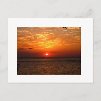 SUNSET POSTCARD