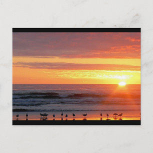 Sunset Postcard