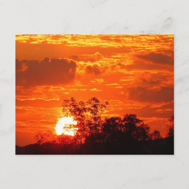 Sunset Postcard (Front)