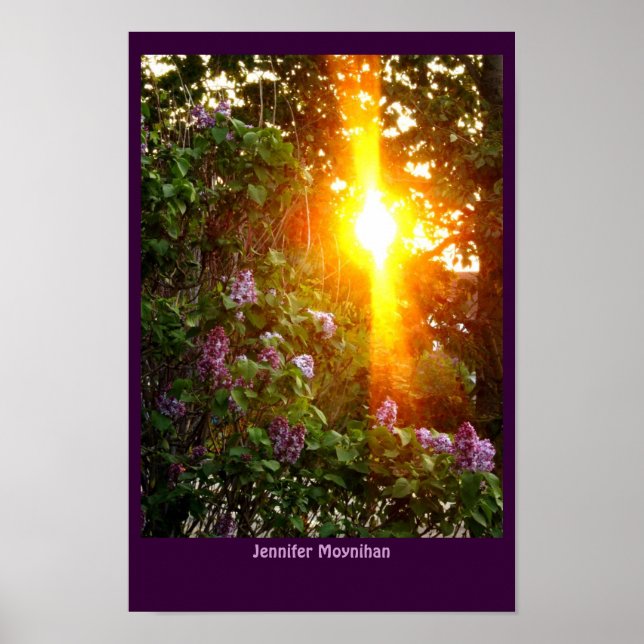 Sunset Poster (Front)