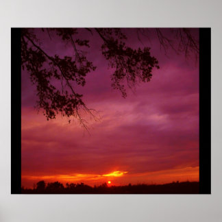 Sunset Poster