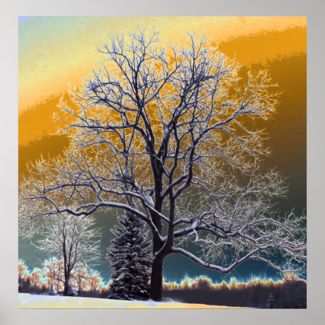 Sunset Poster (Front)