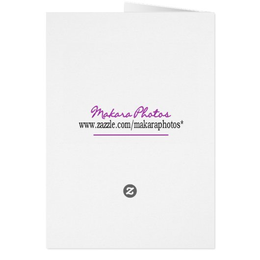 Sunset Prayer-customize (Back)