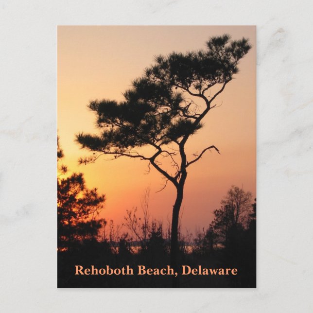 Sunset Rehoboth Postcard (Front)
