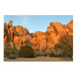 Sunset Rocks at Joshua Tree Poster