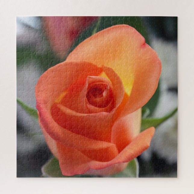 Sunset Rose Jigsaw Puzzle (Vertical)