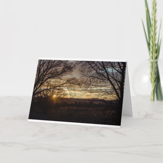 Sunset rural view - cows and trees card (Front)