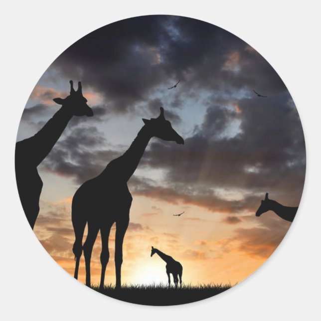 sunset safari wild animal giraffe silhouette classic round sticker (Front)
