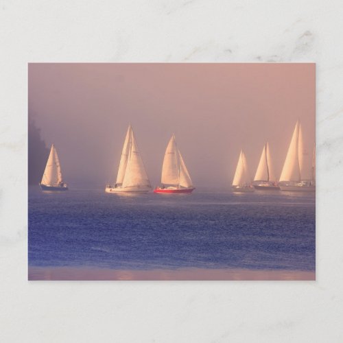 Sunset Sailboats Photo Postcard