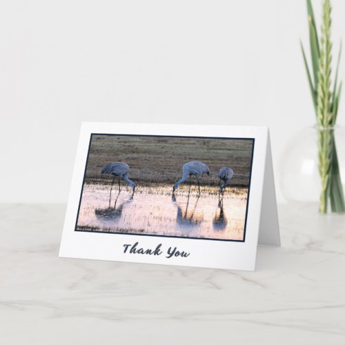 Sunset Sandhill Cranes Photo Thank You Cards