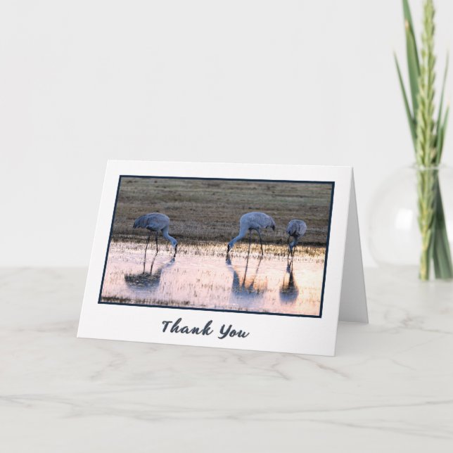Sunset Sandhill Cranes Photo Thank You Cards (Front)