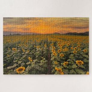 Sunset Scenery Landscape Nature Sunflower Field Jigsaw Puzzle