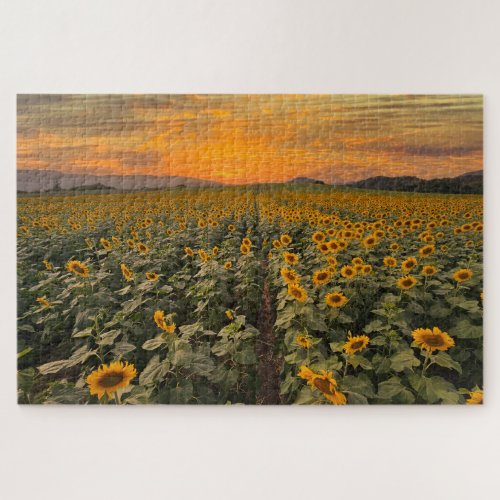 Sunset Scenery Landscape Nature Sunflower Field Jigsaw Puzzle