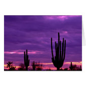 Sunset, Scottsdale, Arizona (Front Horizontal)