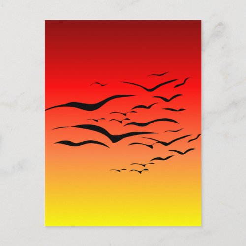 Sunset Sea Gulls Postcard