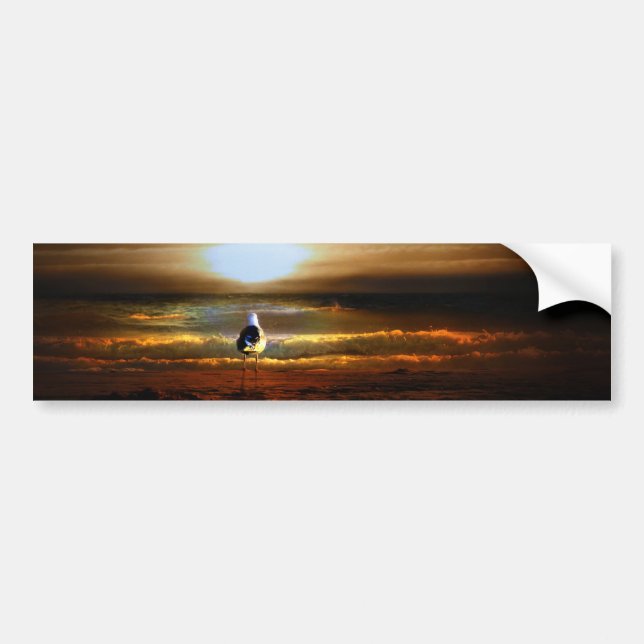 Sunset Seagull Bumper Sticker (Front)