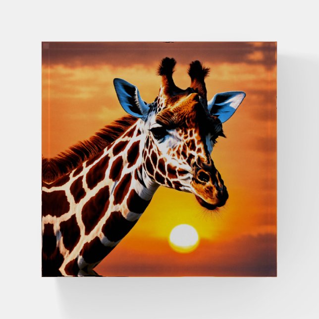 Sunset Serenade Giraffe Paperweight (Front)