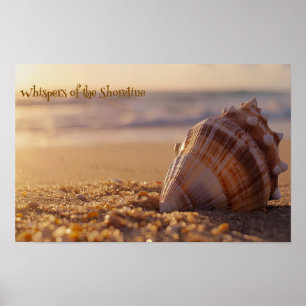 Sunset Serenity: Seashell on the Shore Poster