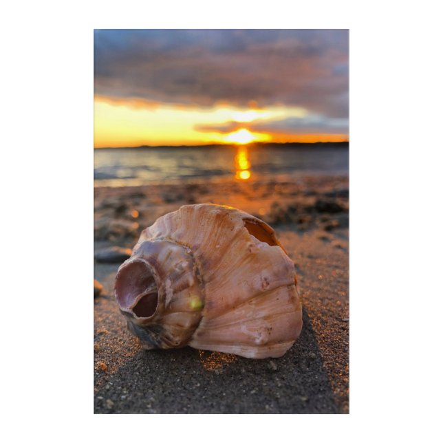 Sunset shell art (Front)