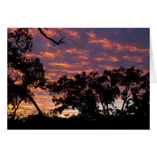 Sunset Silhouette Cards
