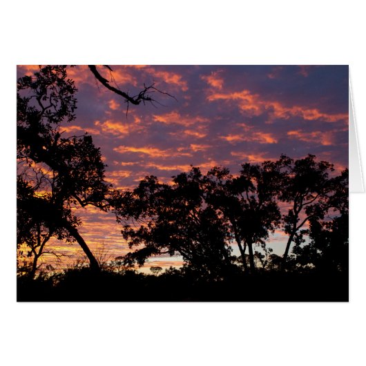 Sunset Silhouette Cards (Front Horizontal)