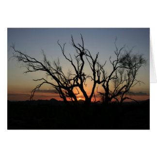 Sunset Silhouette Cards