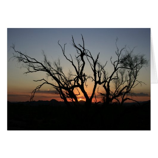 Sunset Silhouette Cards (Front Horizontal)
