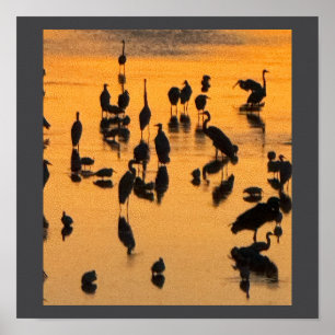 Sunset Silhouette of Birds Poster